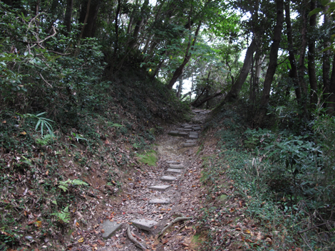20150924hike (29)